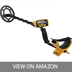 Best metal detector for professionals